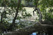 Keating Lagoon sign2