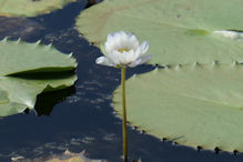 Keating Lagoon