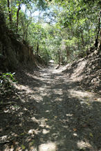 Walking up the Bump Track