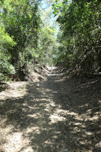 Walking up the Bump Track