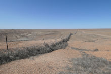 Coober Pedy – dog fence