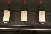 Penfolds Magill tour – 