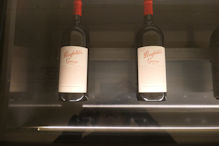 Penfolds Magill tour – 