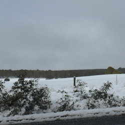 Snow between Goulburn and Bathurst