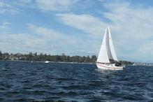 Boat Trip around the Swan – Sailing boat