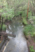 Margaret River – Forest walk rail trail