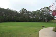 Leeuwen Estate lawn