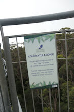 The Valley of the Giants tree top and ground level walk 