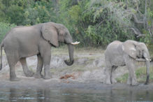 Sunset cruise on the Zambezi