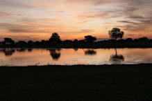 sunset over water hole