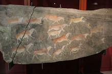 prehistoric rock art in Museum