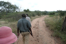 bush walking with guides and guns