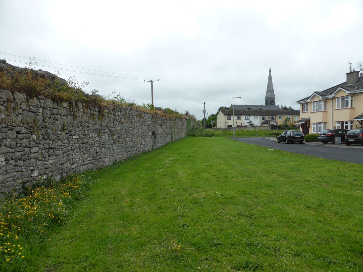 Kilmallock – wall
