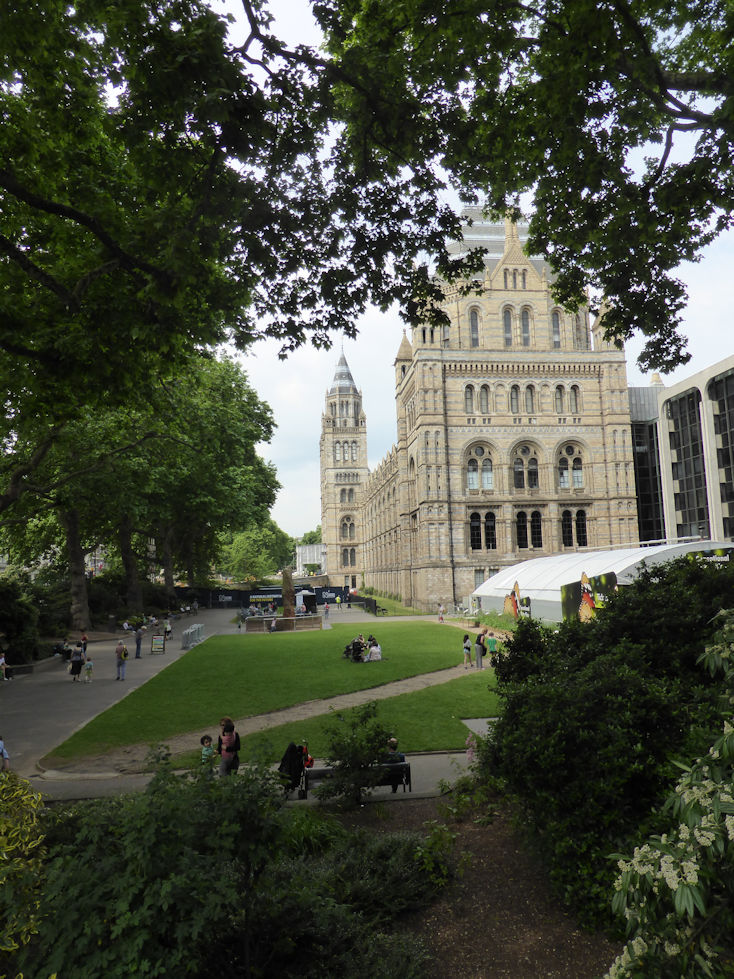 Natural History Museum
