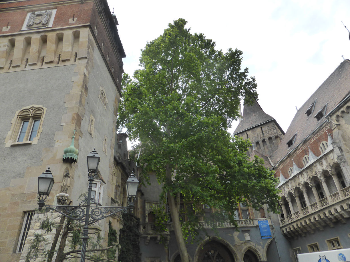 Budapest – Castle near Hero's Square
