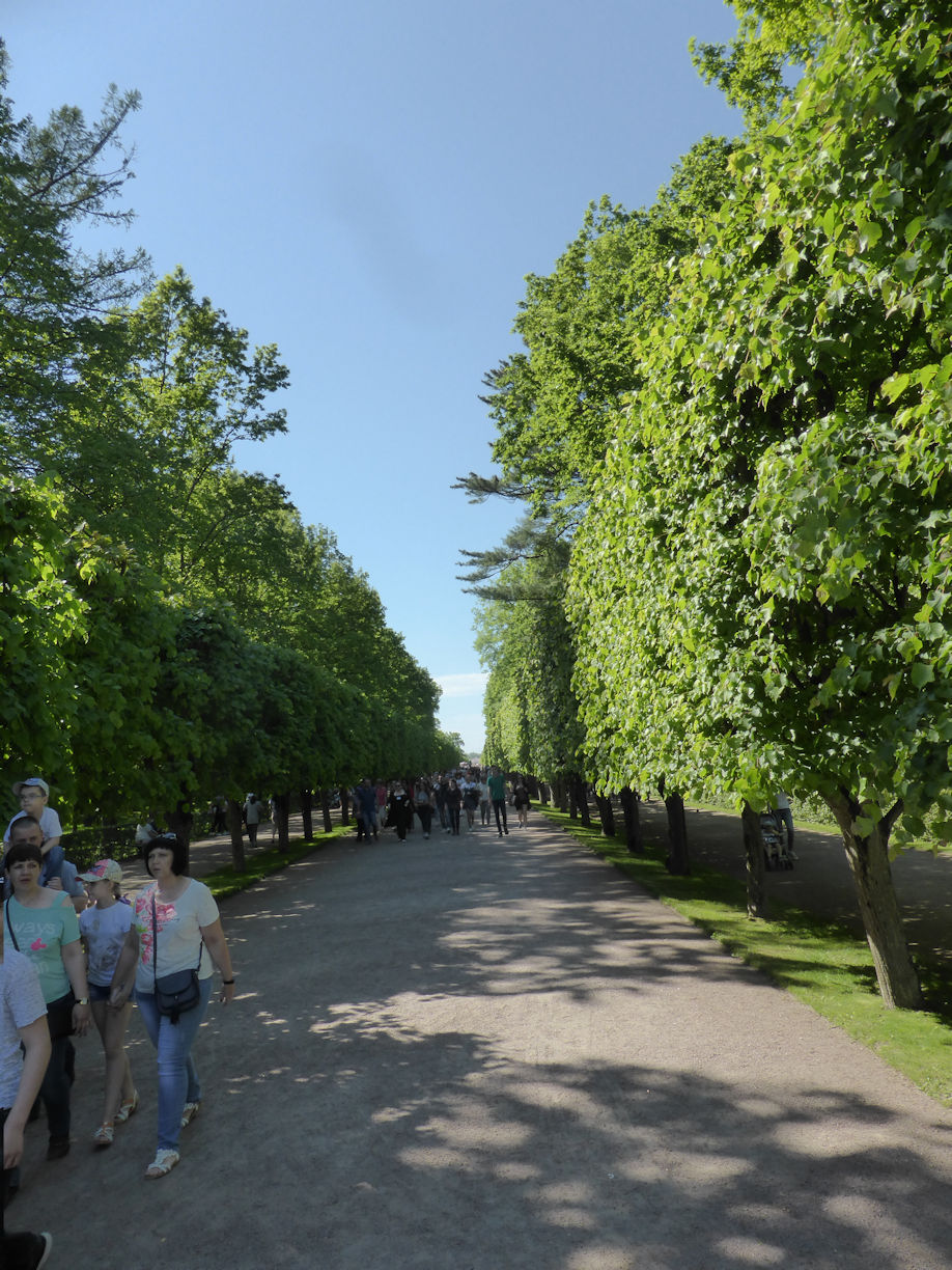 St Petersburg – Peterhof
