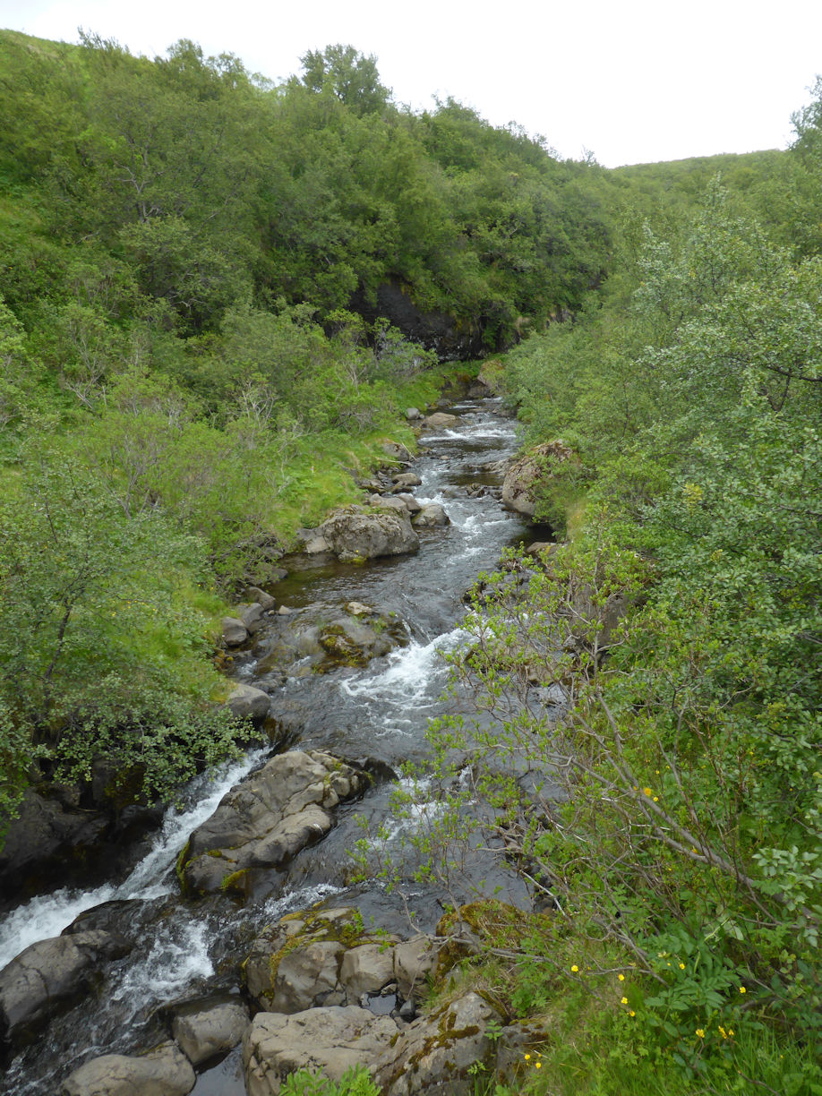 Iceland east – Skaftafell
