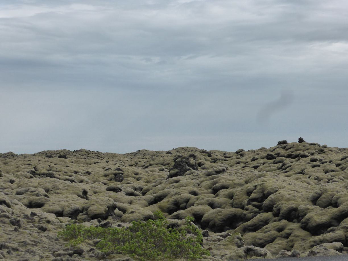 Iceland east – lava field
