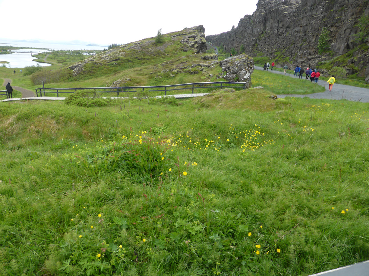 Iceland – Thingvellir National Park – 
