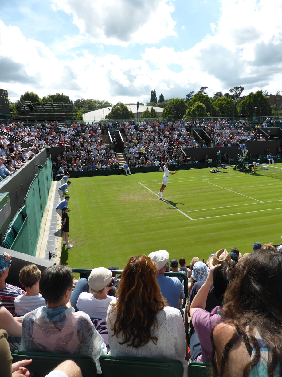 Wimbledon
