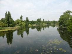 Hyde Park London Serpentine