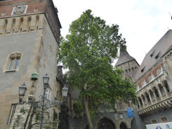 Budapest – Castle near Hero's Square