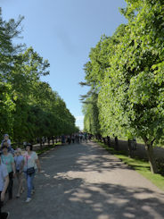 St Petersburg – Peterhof