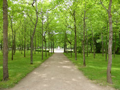 St Petersburg – Pavlovsk Palace