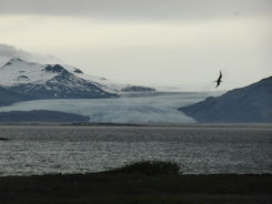 Iceland east – view of glacier + turn from Hofn