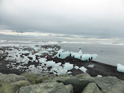 Iceland east – Jökulsárlóen Glacier Lagoon + black sand and white (ice) rocks [not right!!!]