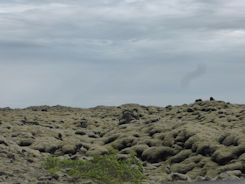 Iceland east – lava field