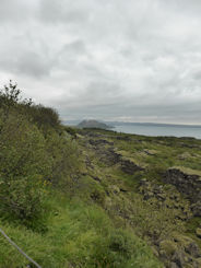 Iceland – Thingvellir National Park – rift