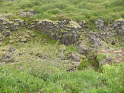 Iceland – Thingvellir National Park – rift