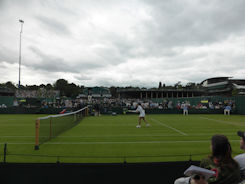 Wimbledon