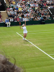 Wimbledon