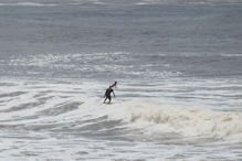 Some board riders taking advantage of bigger waves